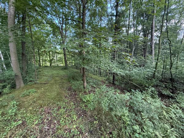 Approaching the sloping ridge at the back of the property.