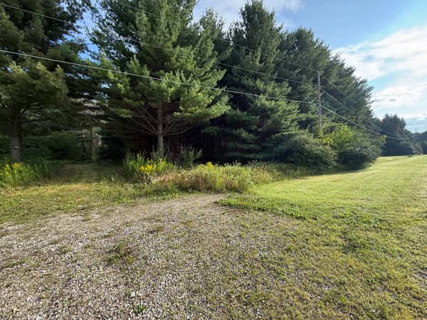Close view of the gravel apron and driveway entrance beneath a mature pine.